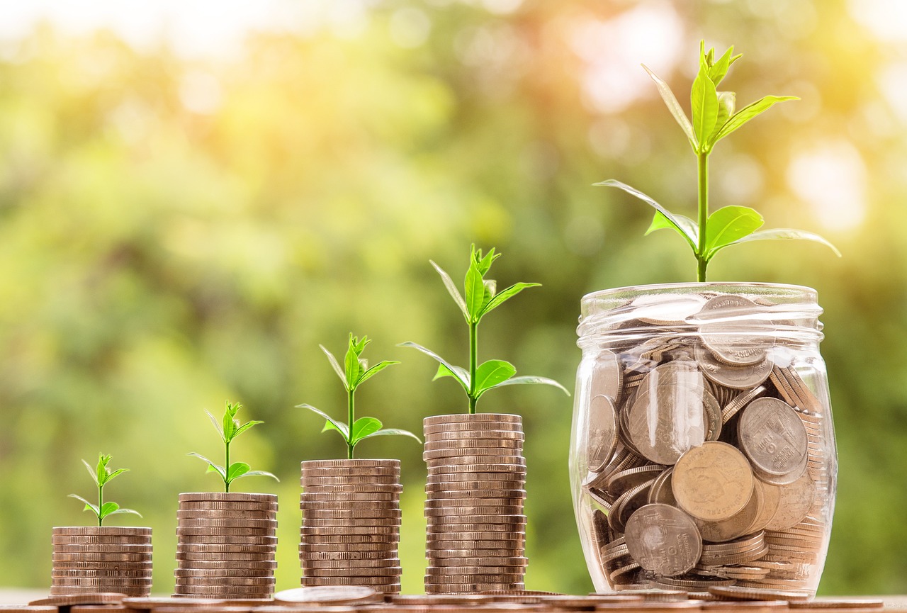 Maximizing Your Party Rental Inventory: Smart Investment Strategies for Business Growth