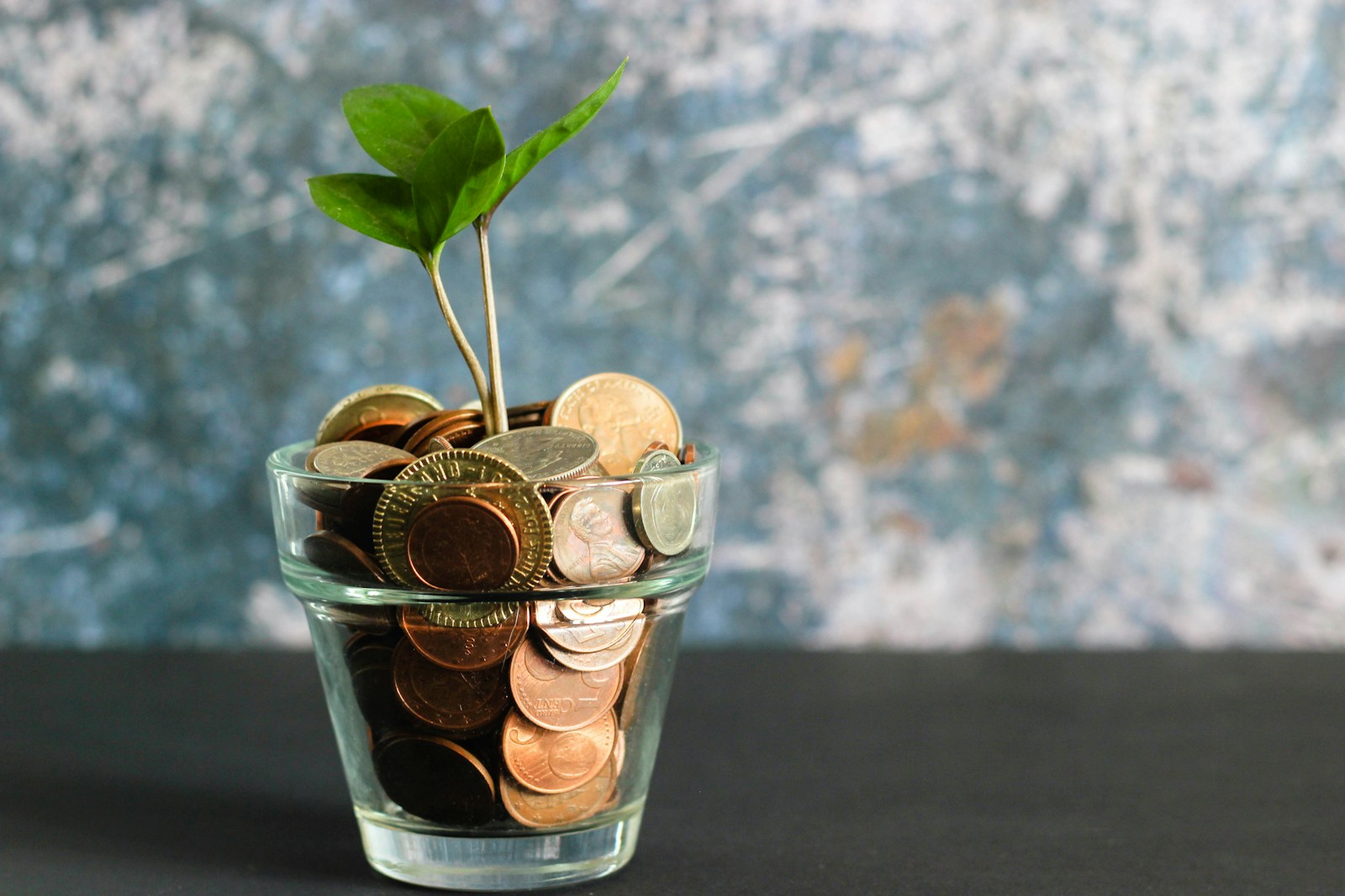 Empower Your Event Rental Business: A Entrepreneur’s Guide to Success